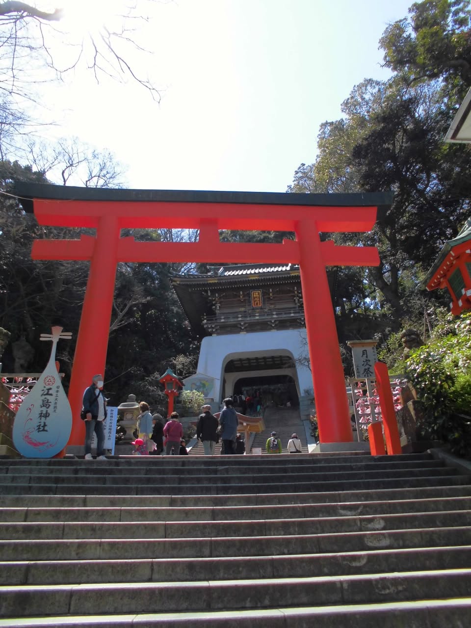 サムネール画像