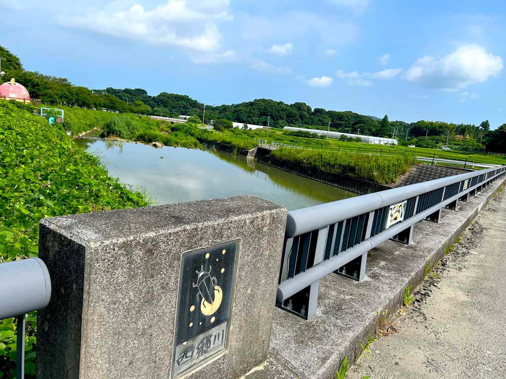 サムネール画像