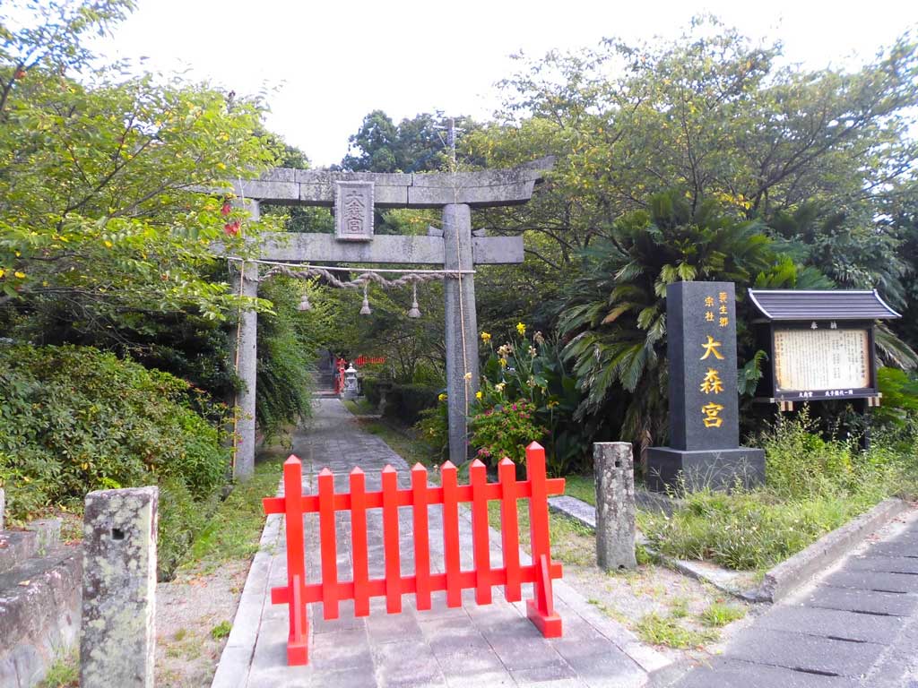 サムネール画像