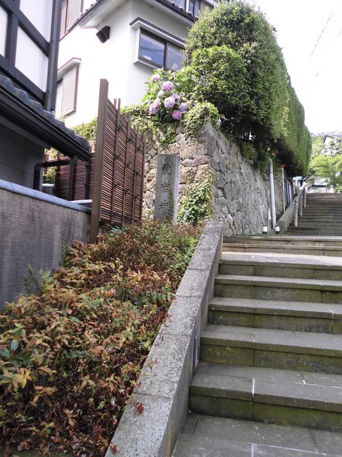 サムネール画像