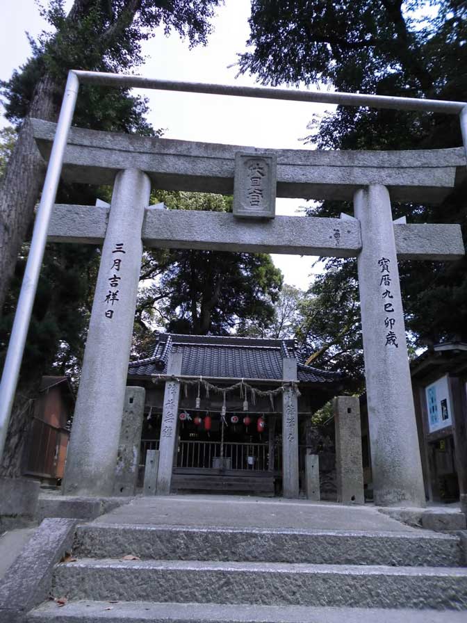 サムネール画像