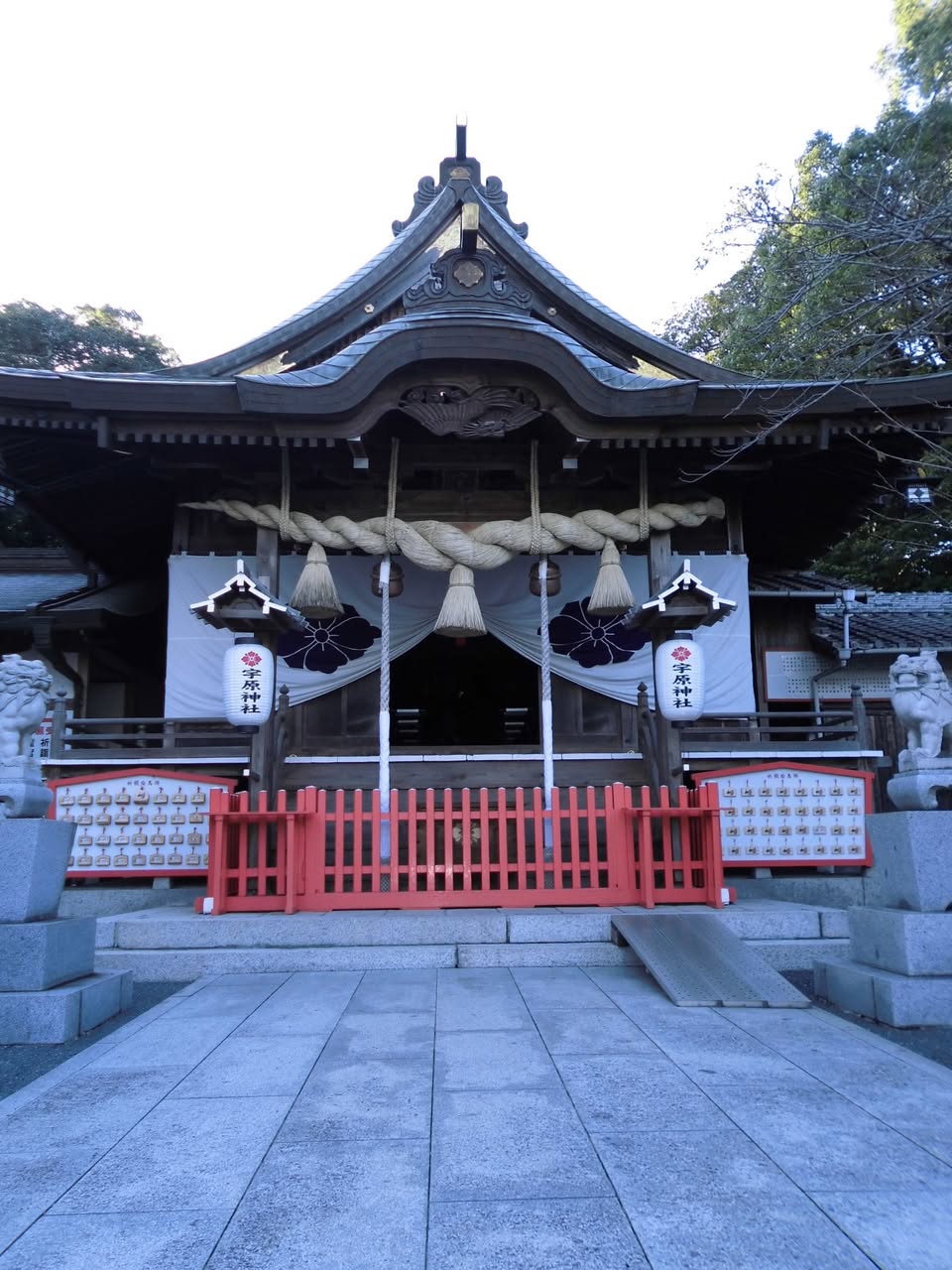 サムネール画像