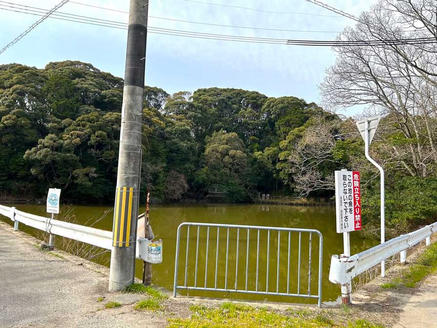 サムネール画像