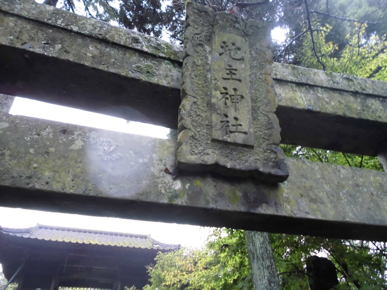 サムネール画像