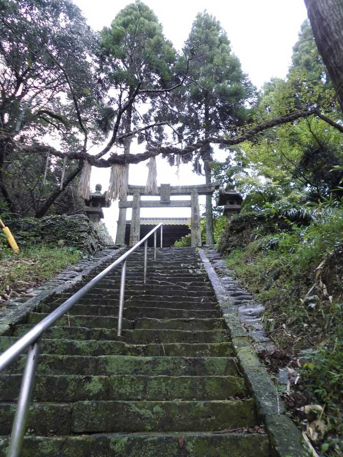 サムネール画像