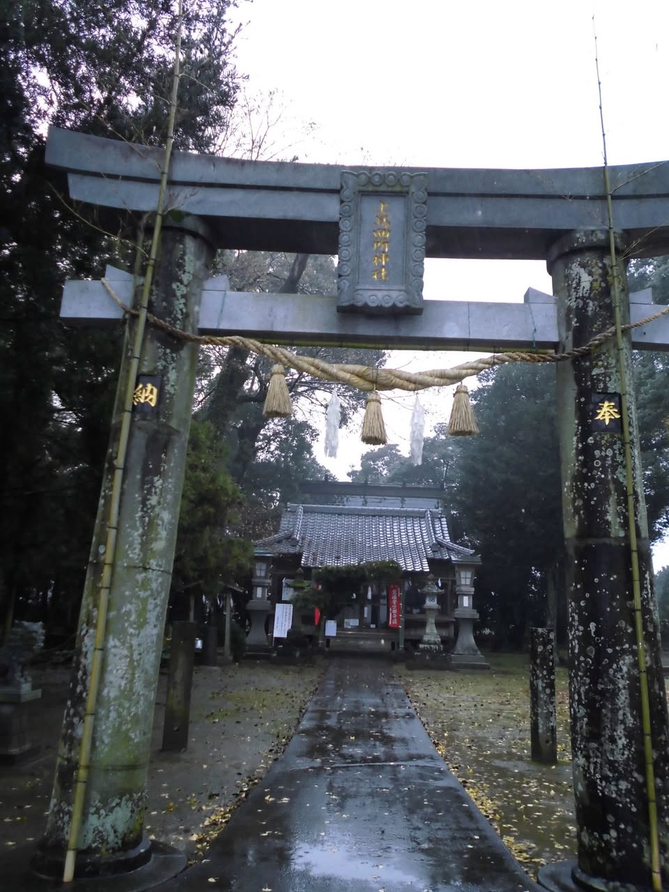 サムネール画像