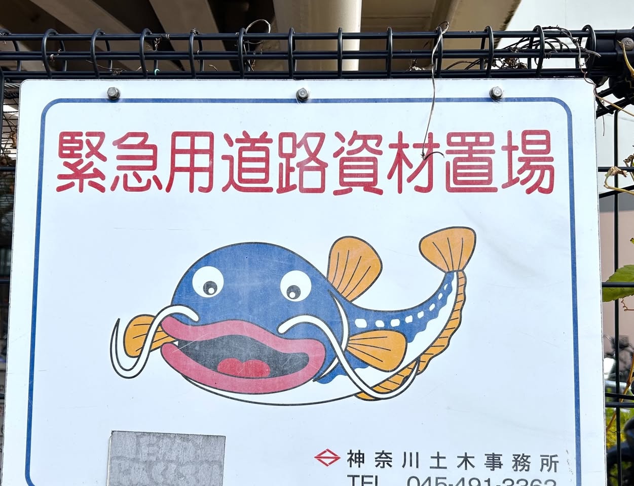 サムネール画像