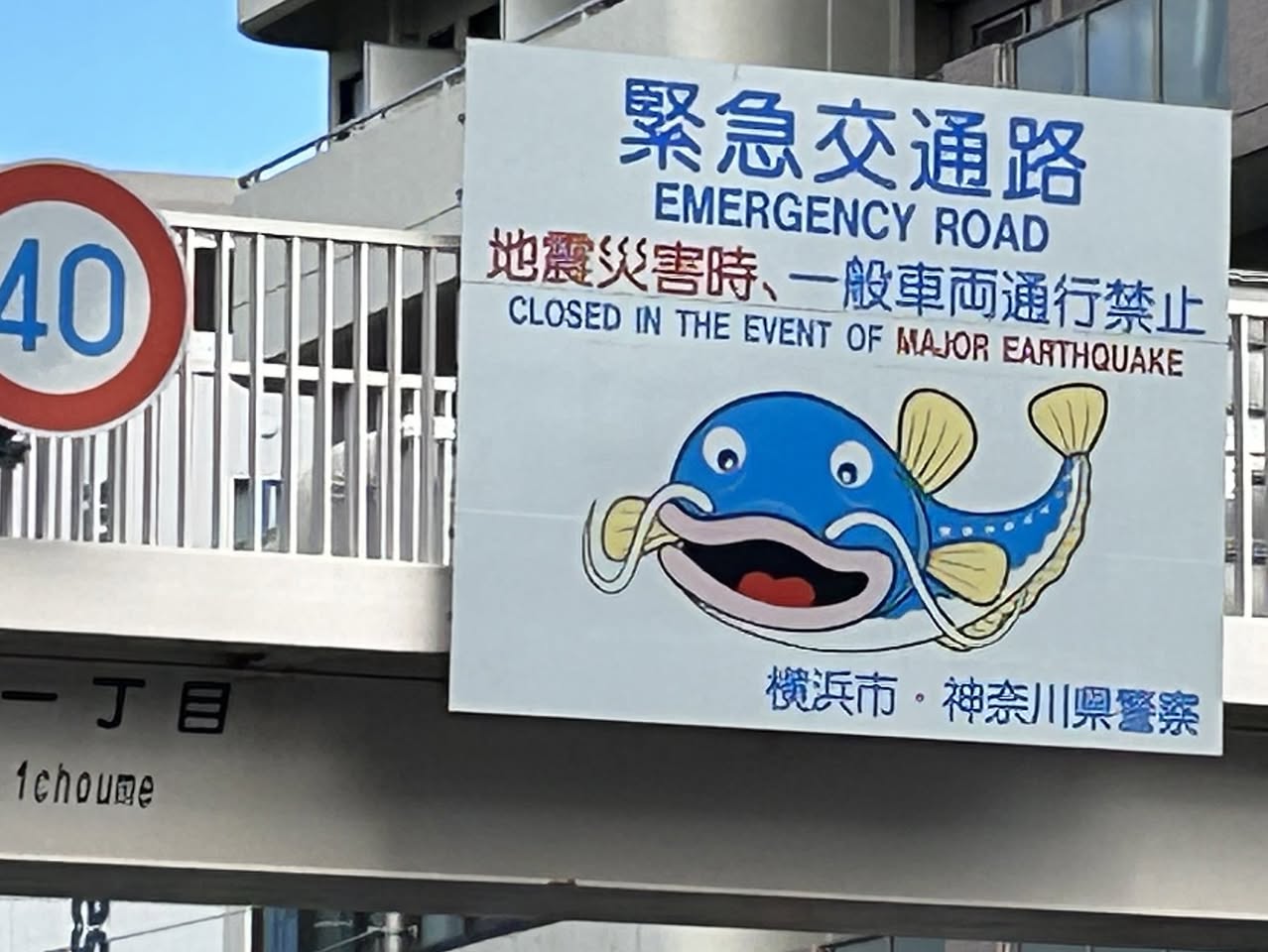 サムネール画像