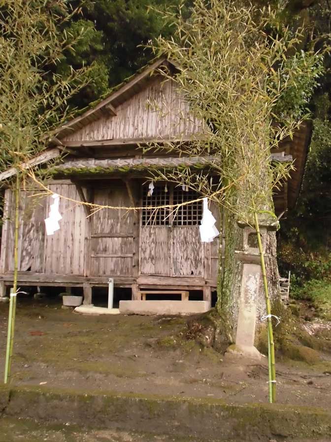 サムネール画像