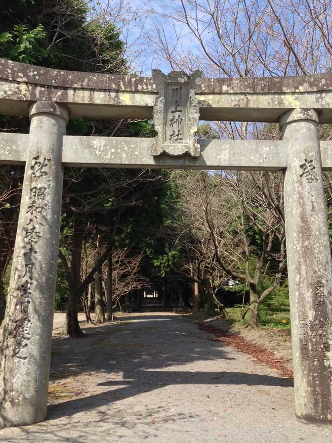 サムネール画像