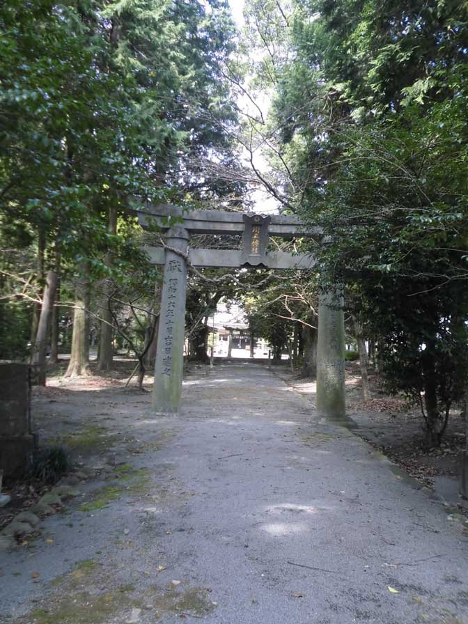 サムネール画像