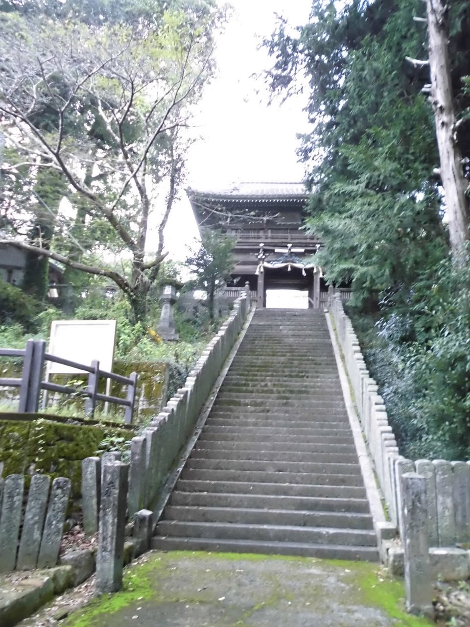 サムネール画像