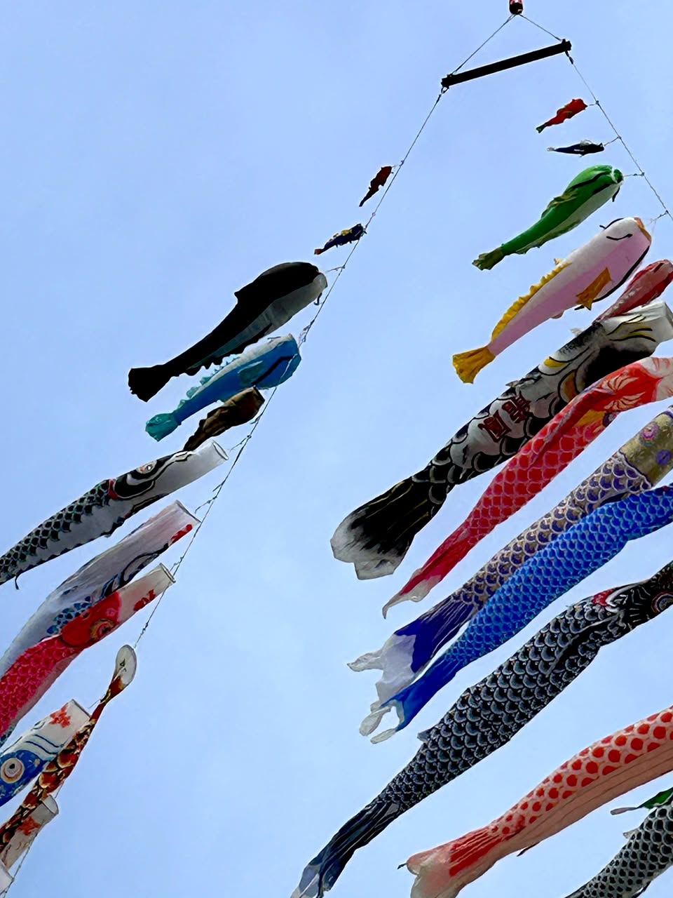 サムネール画像