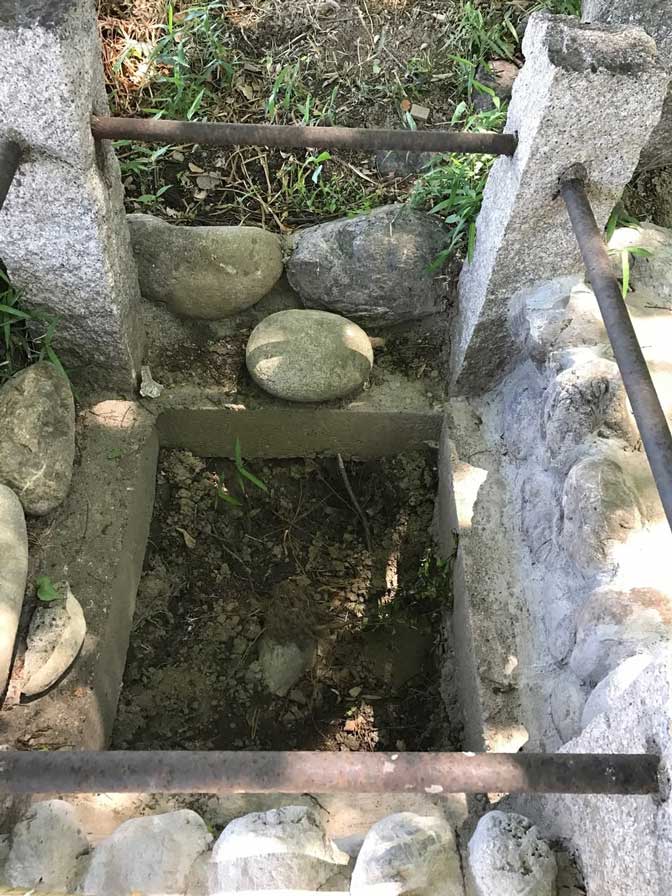 サムネール画像