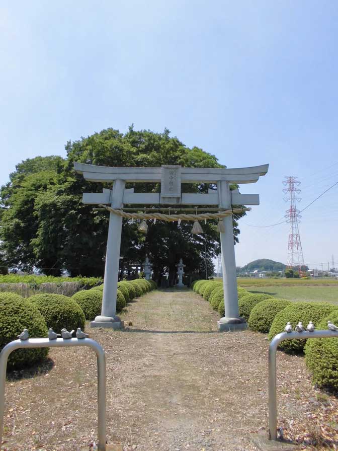 サムネール画像