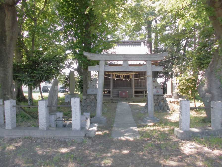 サムネール画像