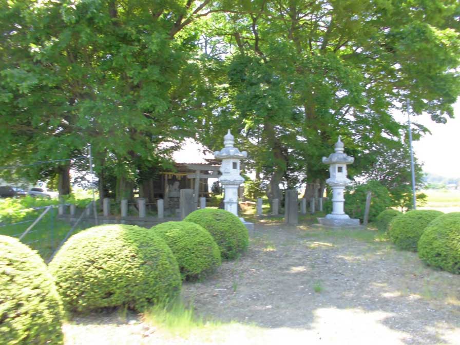 サムネール画像