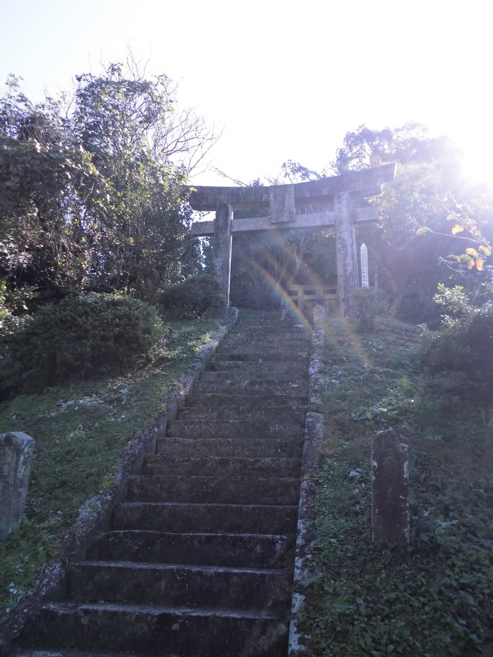 サムネール画像