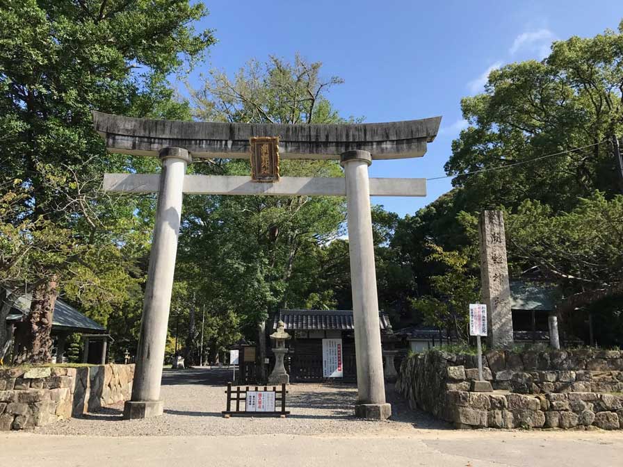 サムネール画像