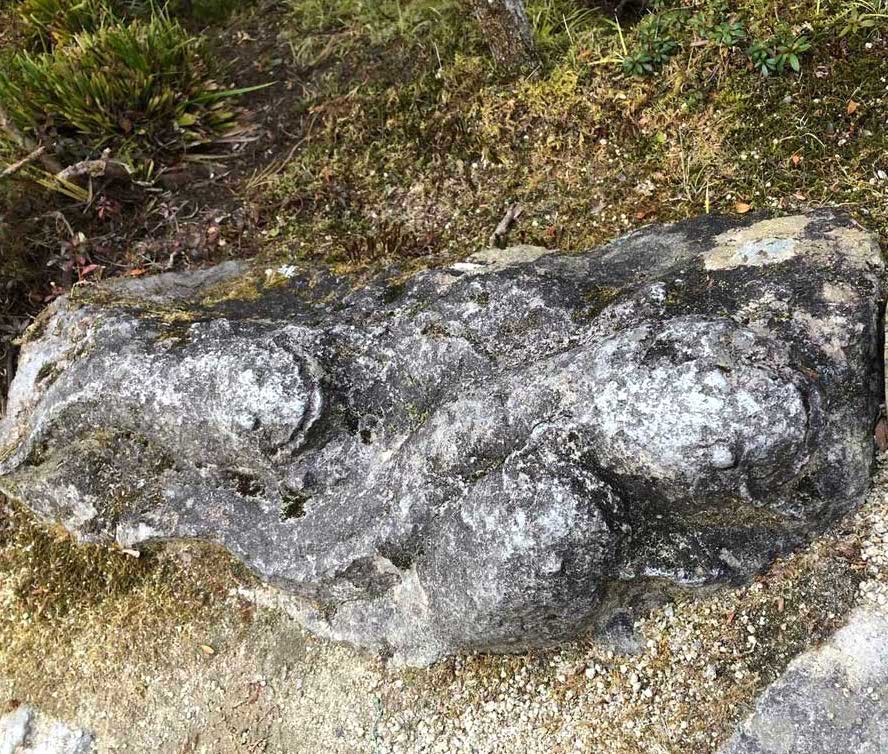 サムネール画像