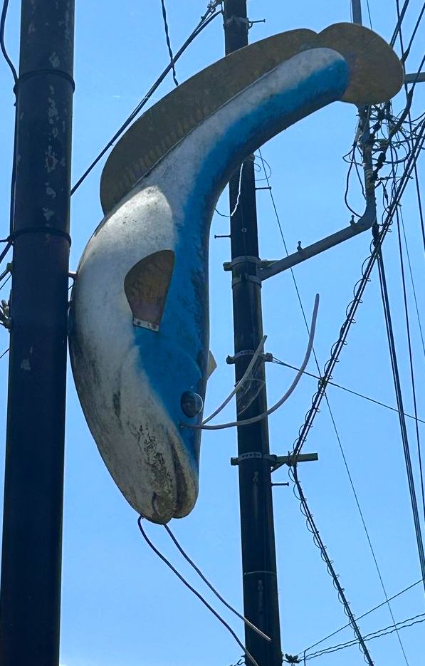 サムネール画像